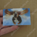 Lenticular print, business card size (54x86mm), customised image
