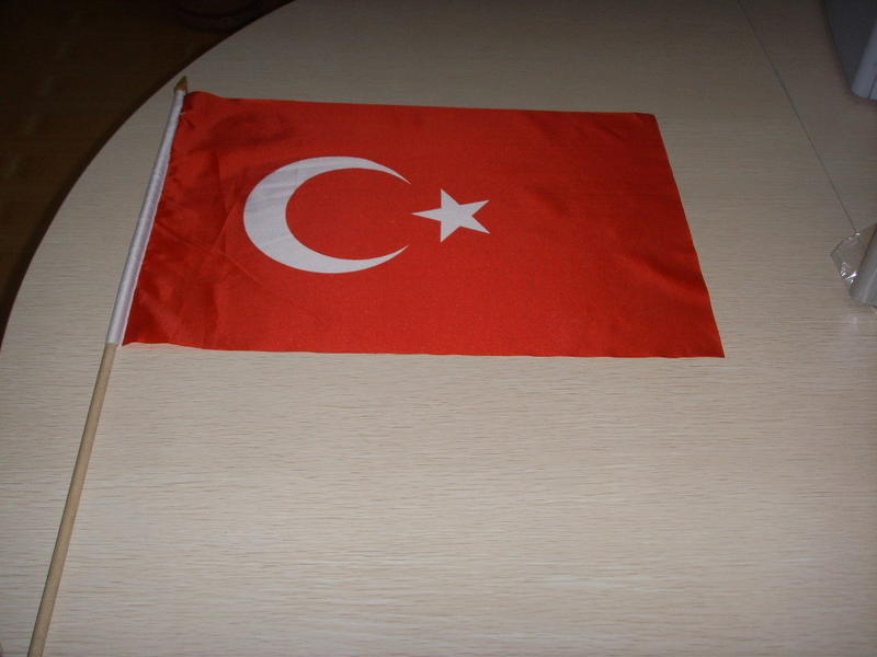Flagge 30 x 45 cm TSCHECHISCHE REPUBLIK 